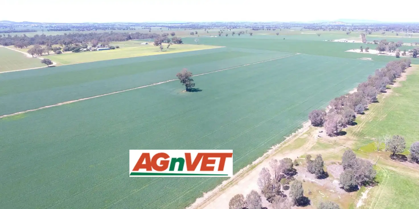 Main view of Homely rural property listing, 0 Olympic Highway, Henty NSW 2658