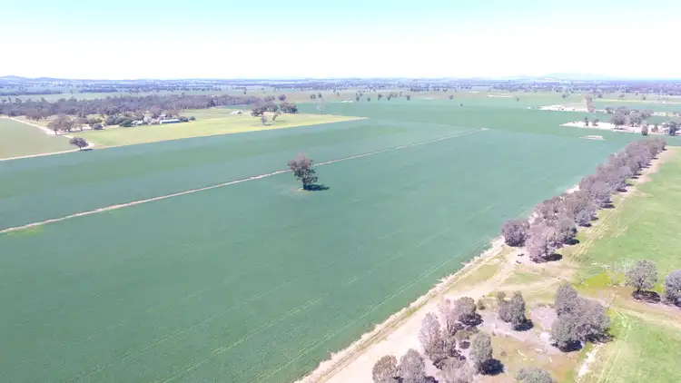 Second view of Homely rural property listing, 0 Olympic Highway, Henty NSW 2658