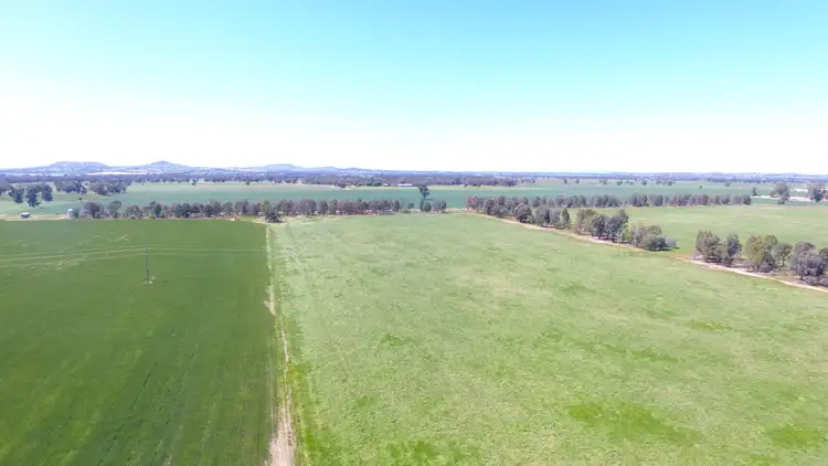 Third view of Homely rural property listing, 0 Olympic Highway, Henty NSW 2658