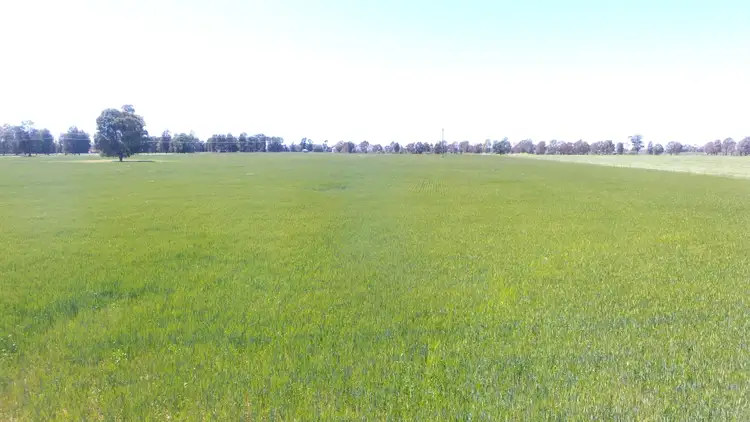 Fourth view of Homely rural property listing, 0 Olympic Highway, Henty NSW 2658