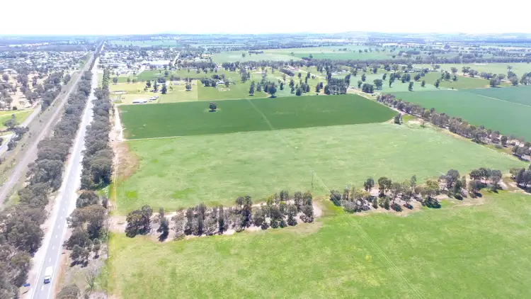 Fifth view of Homely rural property listing, 0 Olympic Highway, Henty NSW 2658