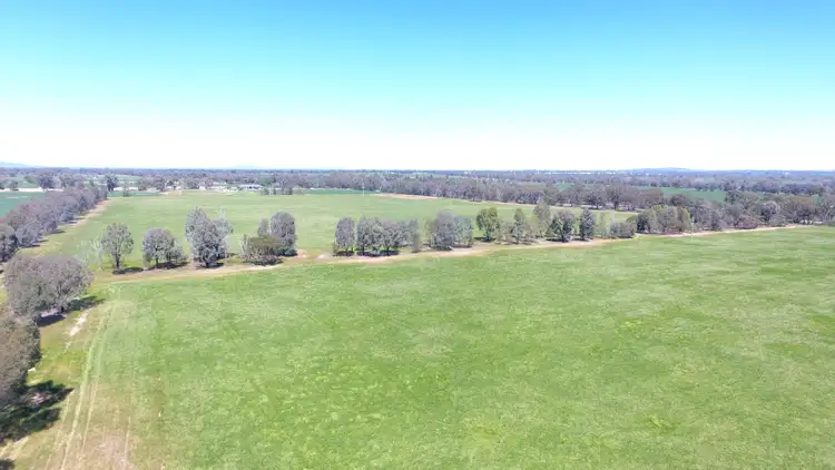 Sixth view of Homely rural property listing, 0 Olympic Highway, Henty NSW 2658