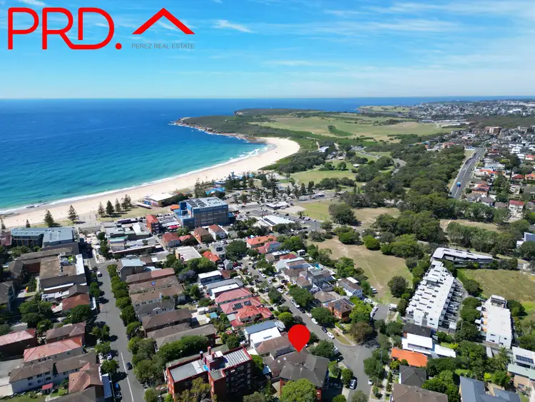 Main view of Homely other listing, 6 Chapman Avenue, Maroubra NSW 2035