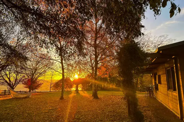 681 Mannus Lake Road