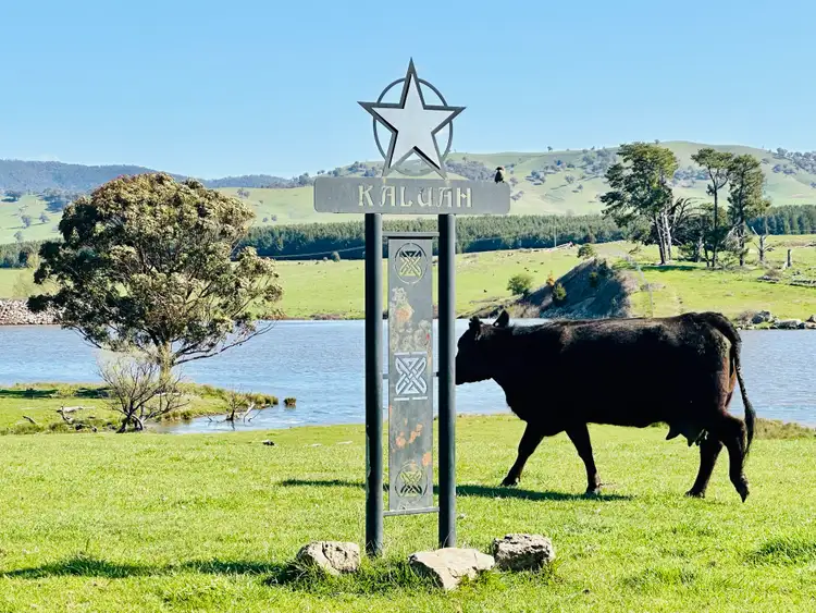 Second view of Homely house listing, 681 Mannus Lake Road, Tumbarumba NSW 2653