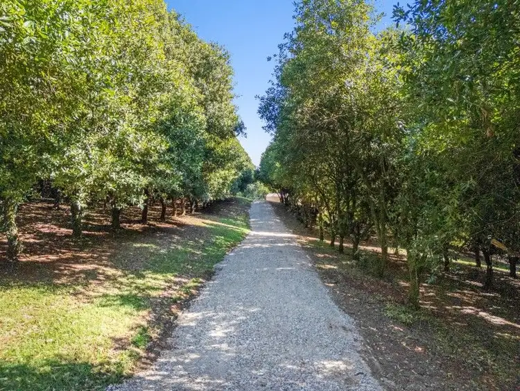 Third view of Homely rural property listing, 412 Repentance Creek Road, Repentance Creek NSW 2480