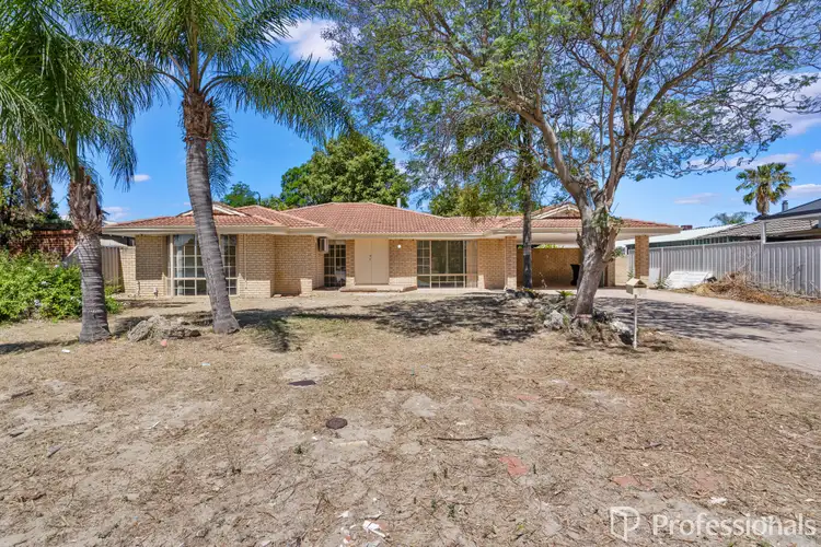 99 Meadowview Drive, Ballajura WA 6066