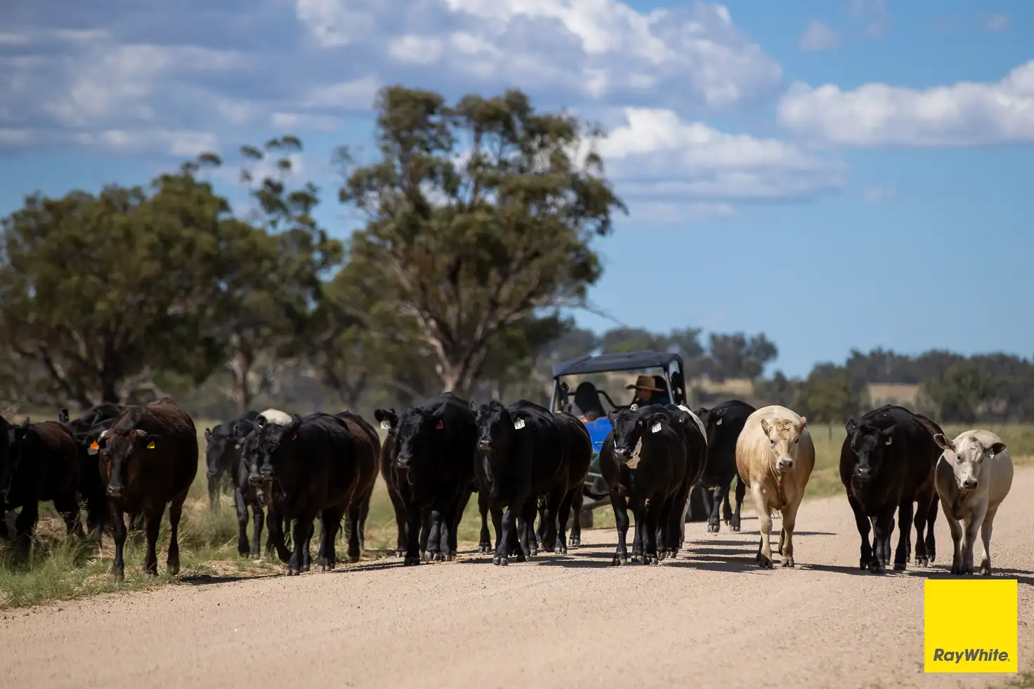 Main view of Homely rural property listing, "Karoola" 651 Karoola Road, Inverell NSW 2360