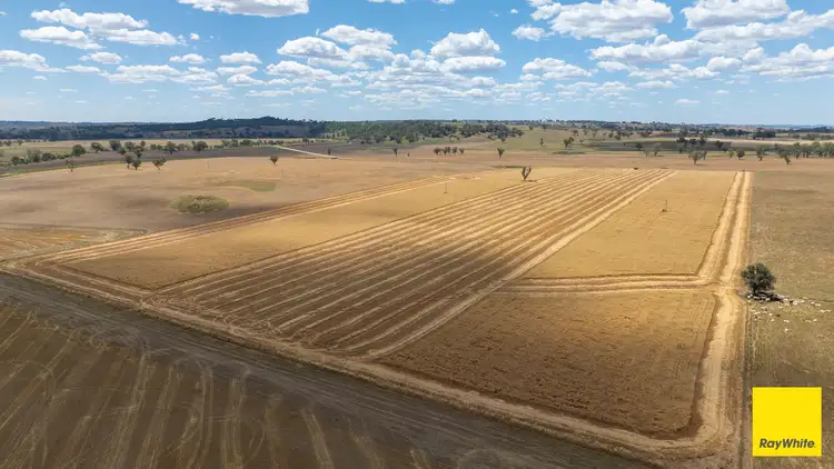 Sixth view of Homely rural property listing, "Karoola" 651 Karoola Road, Inverell NSW 2360