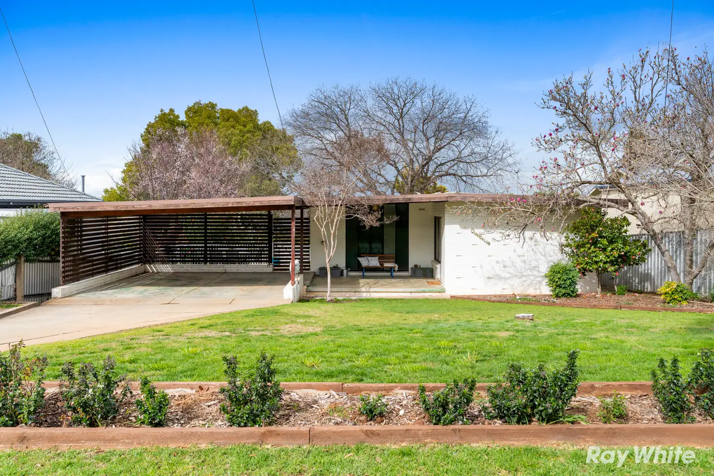 Main view of Homely house listing, 81 Meadow Street, Kooringal NSW 2650