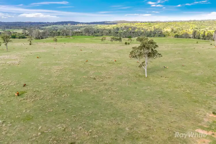 Seventh view of Homely rural property listing, 595 Walla Road, Morganville QLD 4671