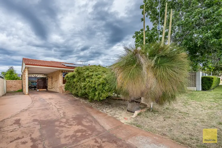 Fourth view of Homely land listing, 33A Charles Street, Karrinyup WA 6018