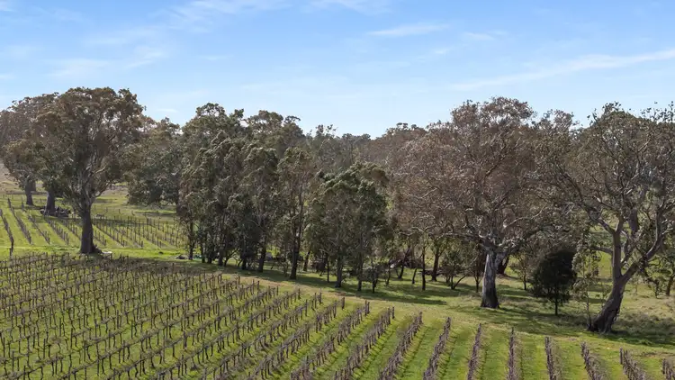 Seventh view of Homely land listing, LOT 106, 108 Dergholm Road, Penola SA 5277