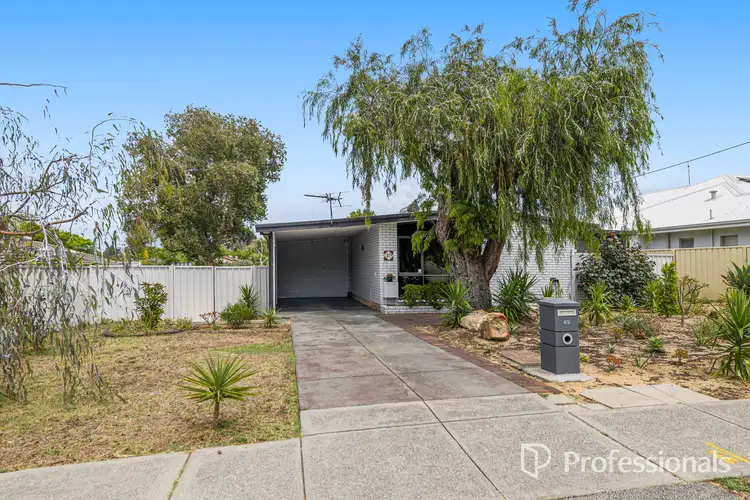 Second view of Homely house listing, 49 Glendale Avenue, Hamersley WA 6022