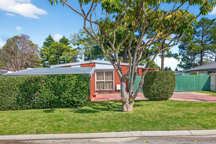 Second view of Homely house listing, 13 Delphinus Place, Rockingham WA 6168