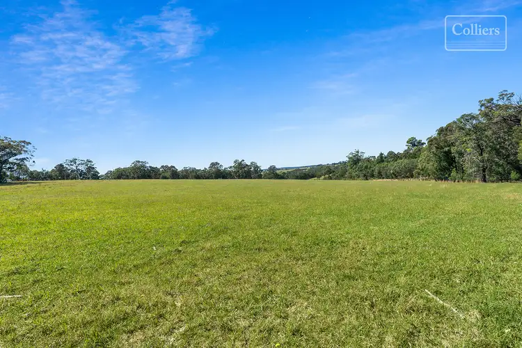 Third view of Homely rural property listing, 227-229 Little Forest, Little Forest NSW 2538