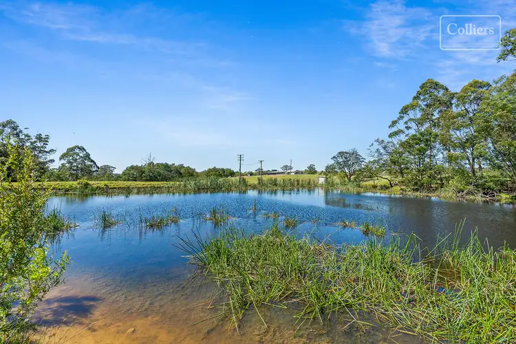 Fifth view of Homely rural property listing, 227-229 Little Forest, Little Forest NSW 2538