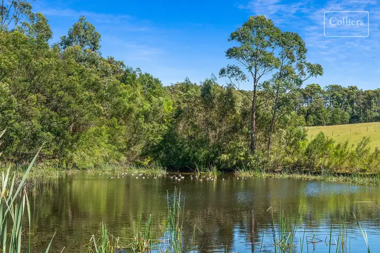 Seventh view of Homely rural property listing, 227-229 Little Forest, Little Forest NSW 2538