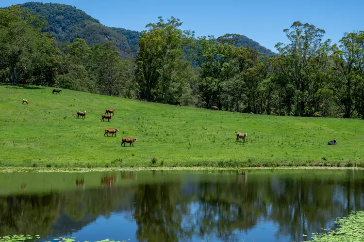 Fourth view of Homely rural property listing, 148 Pine Log Road, Doon Doon NSW 2484