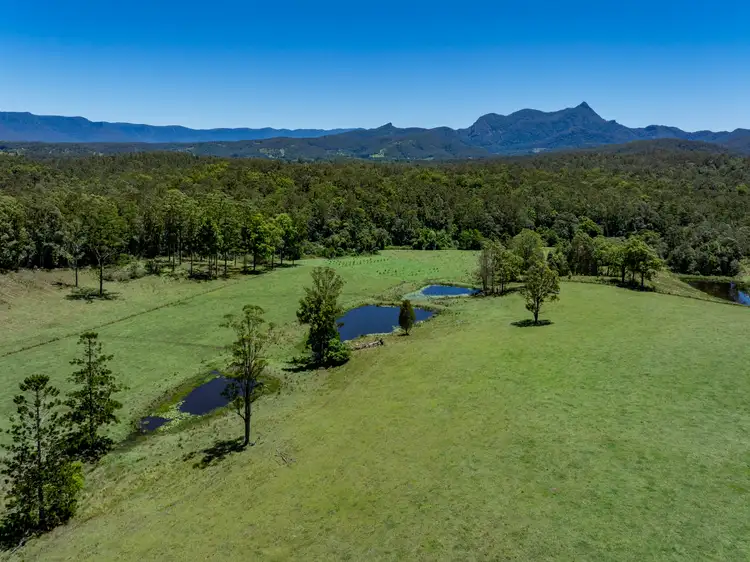 Fifth view of Homely rural property listing, 148 Pine Log Road, Doon Doon NSW 2484