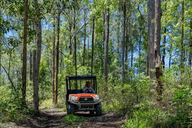 Sixth view of Homely rural property listing, 148 Pine Log Road, Doon Doon NSW 2484