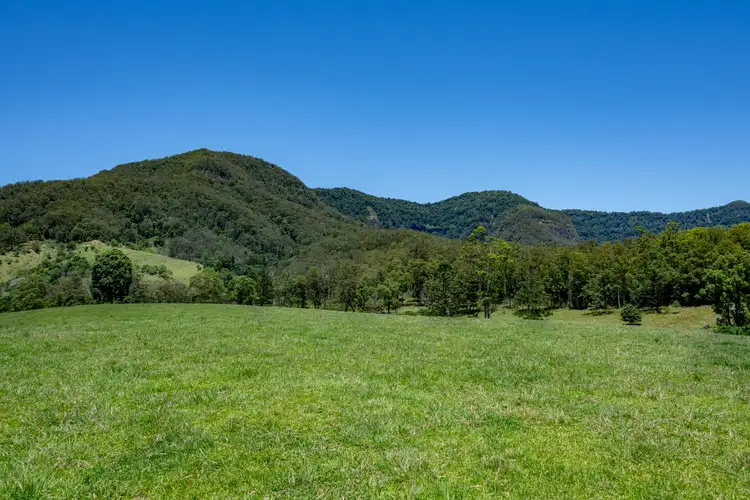 Seventh view of Homely rural property listing, 148 Pine Log Road, Doon Doon NSW 2484