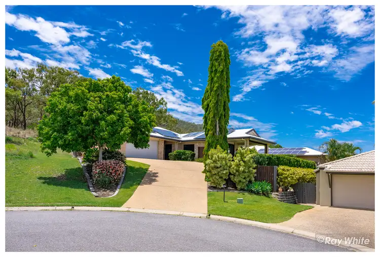 16 Zamia Court, Norman Gardens QLD 4701