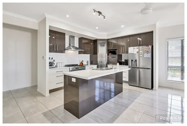 Second view of Homely house listing, 16 Zamia Court, Norman Gardens QLD 4701