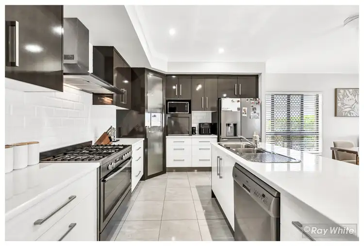 Fifth view of Homely house listing, 16 Zamia Court, Norman Gardens QLD 4701