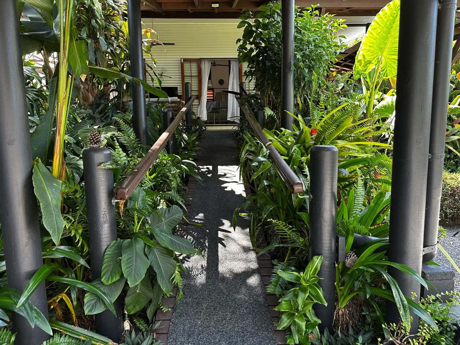 Main view of Homely house listing, 37 Scrub Street, Kuranda QLD 4881