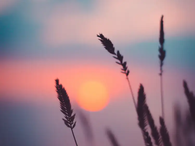 Fifth view of Homely land listing, Brighton Estate, Mildura VIC 3500