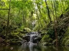 Third view of Homely land listing, Address available on request