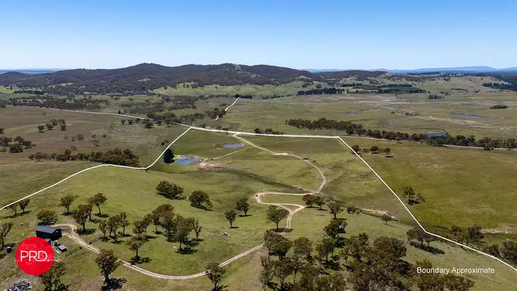 Fifth view of Homely rural property listing, 2287 Bungendore Road, Tarago NSW 2580