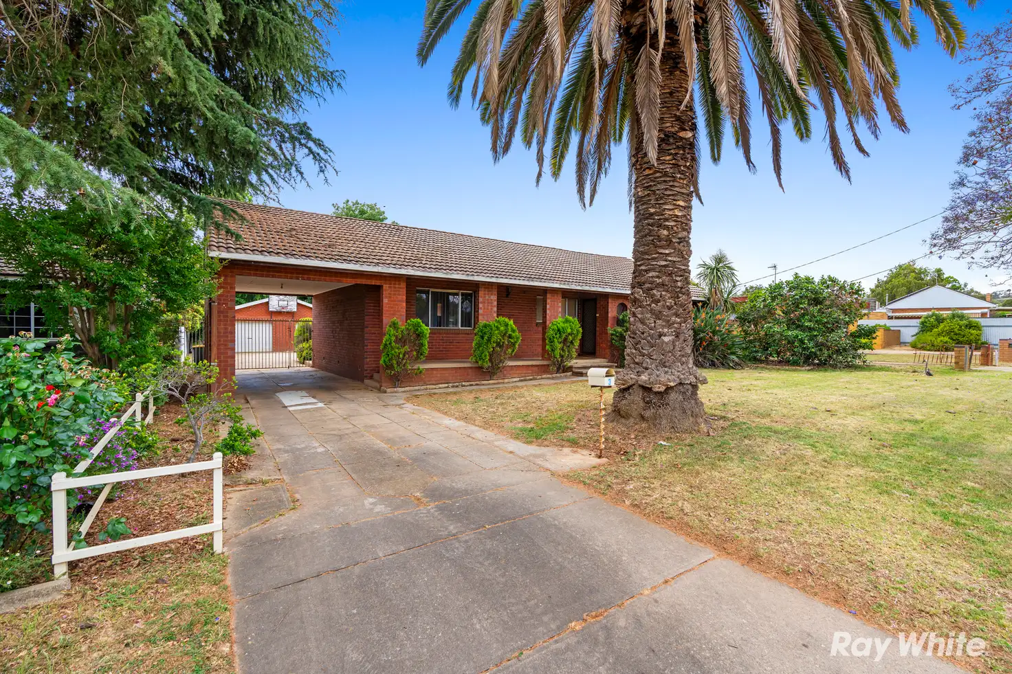 Main view of Homely house listing, 3 Moran Street, Tolland NSW 2650
