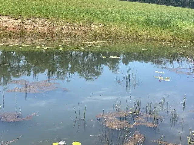 Second view of Homely land listing, Address available on request