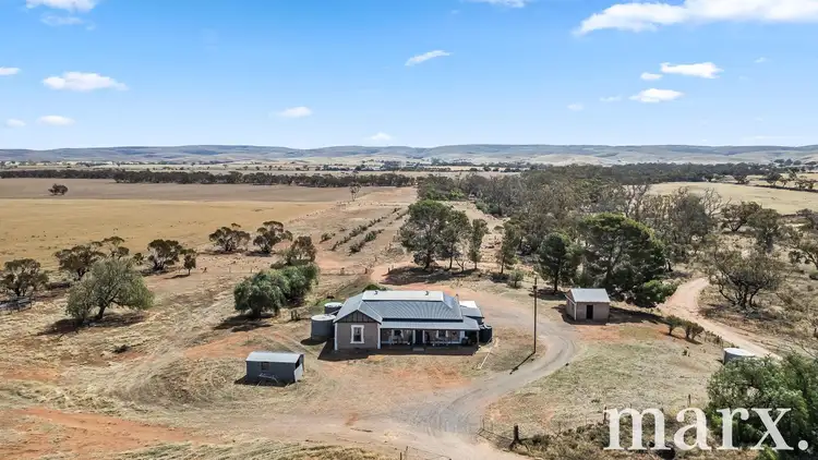 94 Robertson Road, Towitta SA 5353