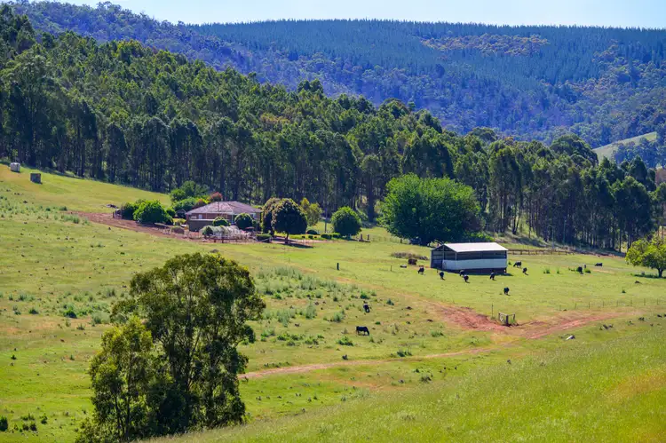305 & Lot 8138 Balingup-Nannup Road, Balingup WA 6253