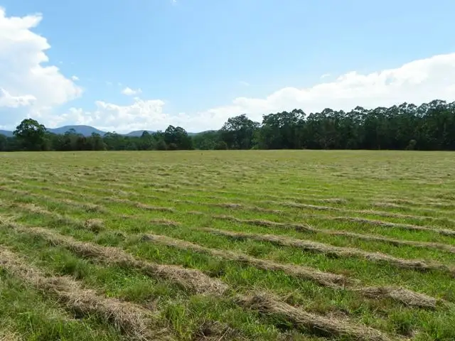 Seventh view of Homely rural property listing, 900 Pembrooke Road, Pembrooke NSW 2446