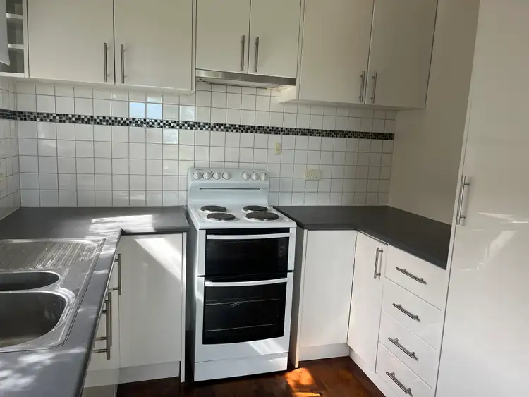 20 Colac Grove, Belmont VIC 3216