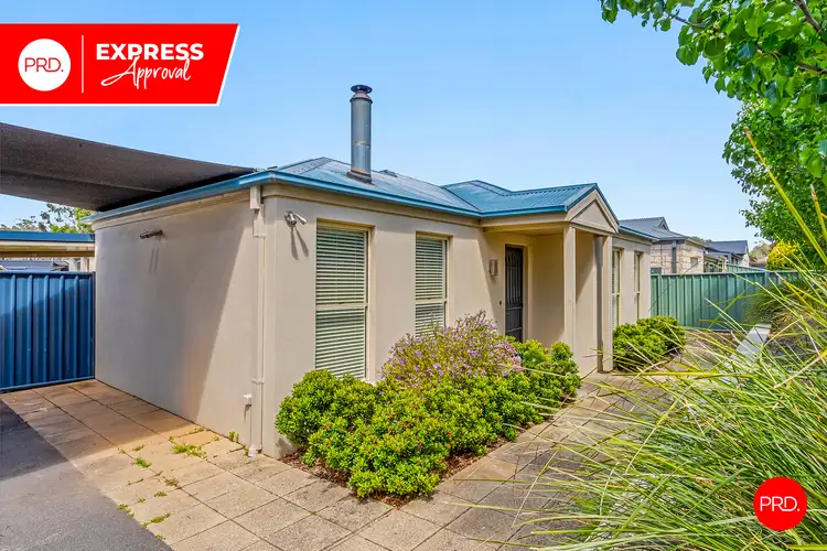 47 Mistletoe St