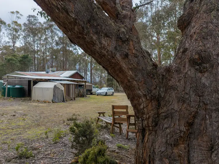 Fourth view of Homely house listing, 822 Arthurs Lake Road, Arthurs Lake TAS 7030