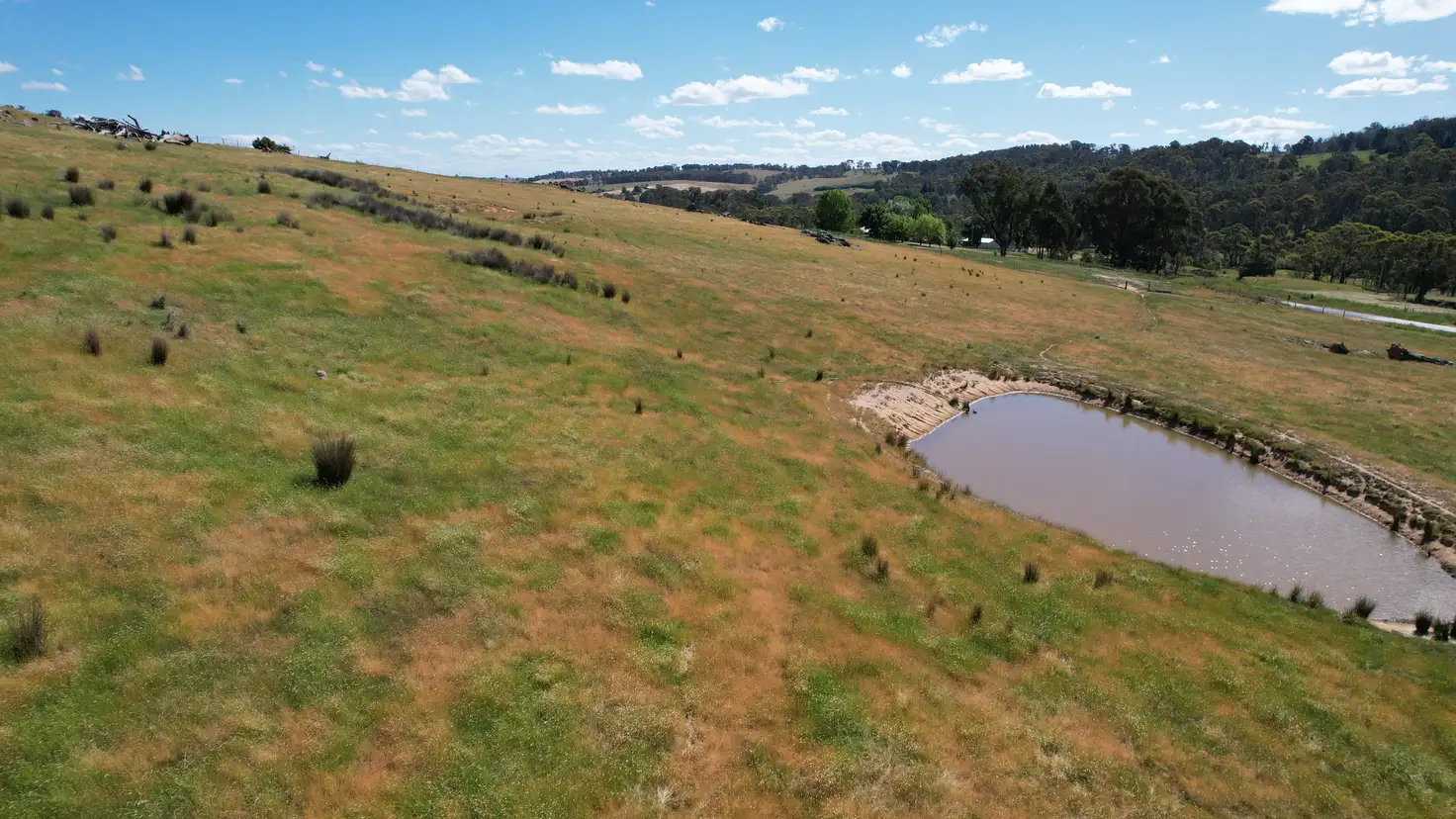 Main view of Homely rural property listing, 580 Batlow Road, Tumbarumba NSW 2653