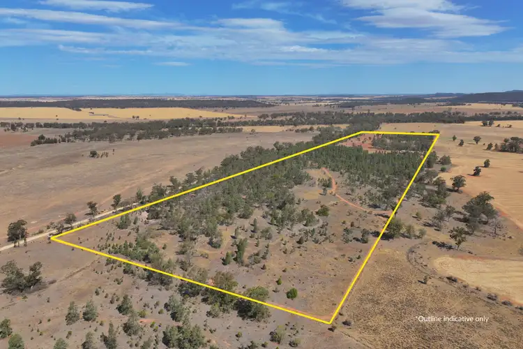 Second view of Homely other listing, 79 Mercadool Lane, Bogan Gate NSW 2876