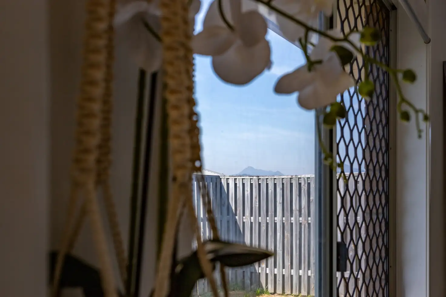 Main view of Homely house listing, 15 Canungra Street, South Ripley QLD 4306