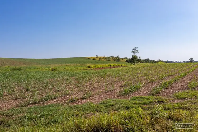 Fourth view of Homely rural property listing, Address available on request