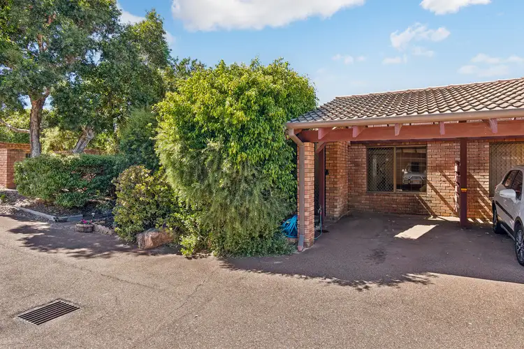 Third view of Homely unit listing, 5/169 Tyler Street, Tuart Hill WA 6060