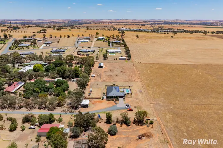 5 Smythe Road, Junee NSW 2663