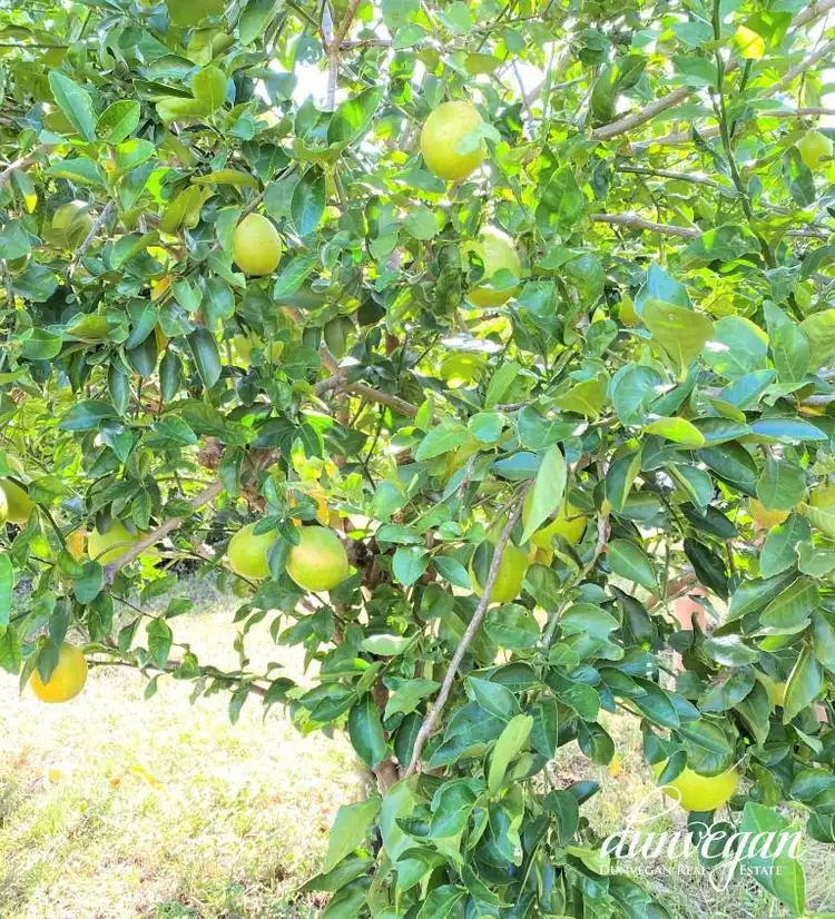 Fifth view of Homely other listing, 275B Elizabeth Valley Road, Noonamah NT 837