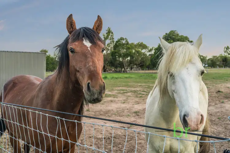 Fifth view of Homely house listing, 20 Orlando Grove, Lara VIC 3212