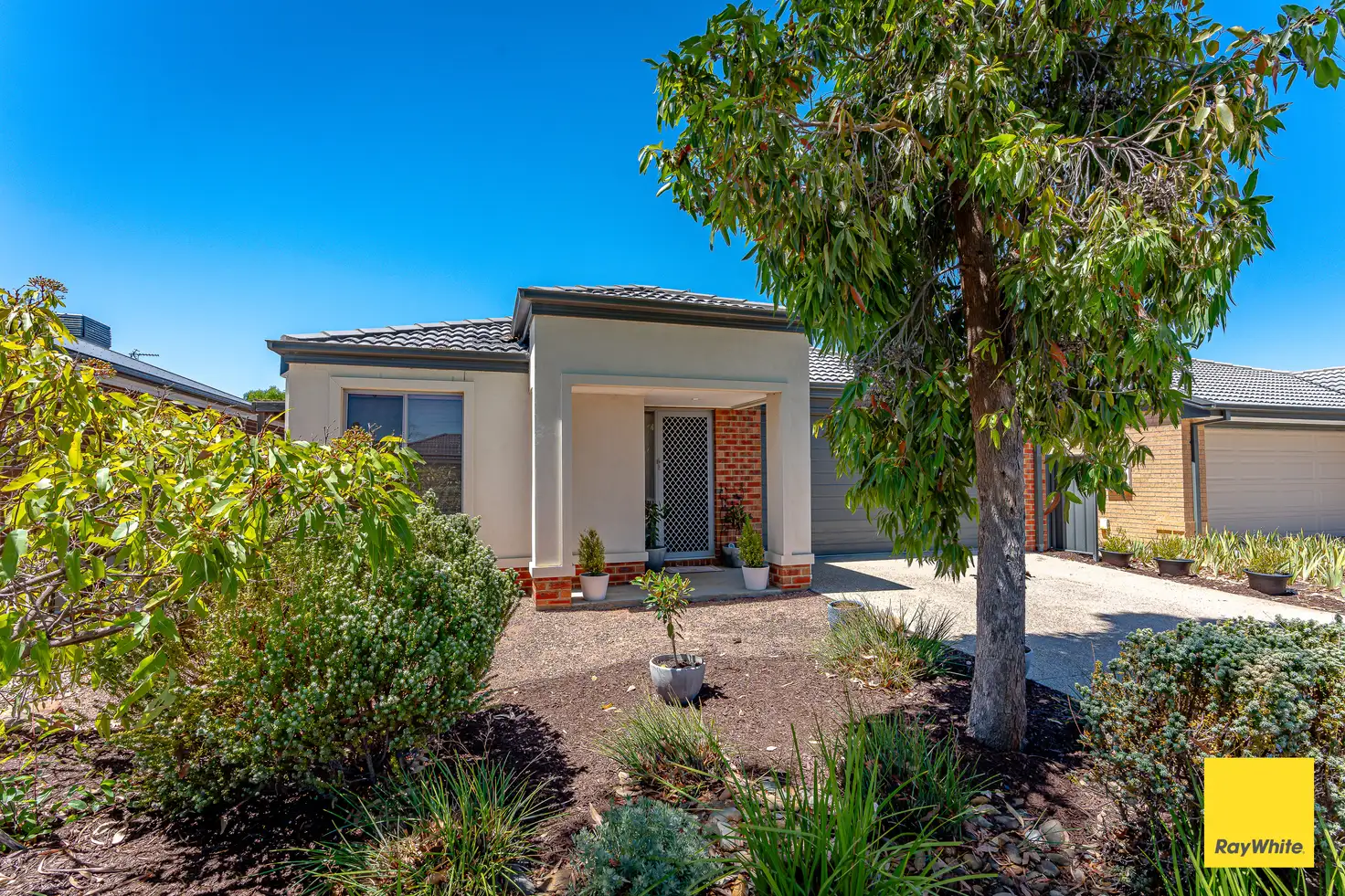 Main view of Homely house listing, 58 Greenfield Drive, Epsom VIC 3551